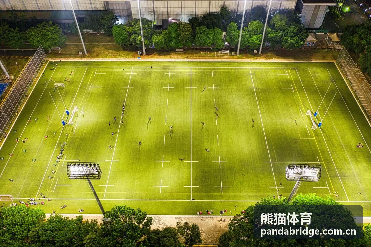 熊猫体育大型赛事组织服务